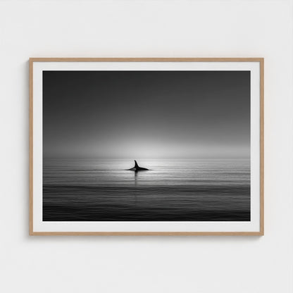 minimalist-negative-space-composition-lone-whale 48x36-natural frame frame