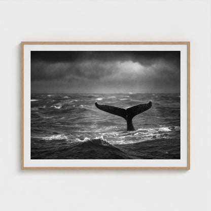 tail-fluke-against-stormy-sea-rain-sheets-and-wh 48x36-natural frame frame