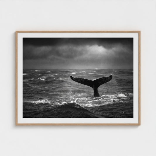 tail-fluke-against-stormy-sea-rain-sheets-and-wh 48x36-natural frame frame
