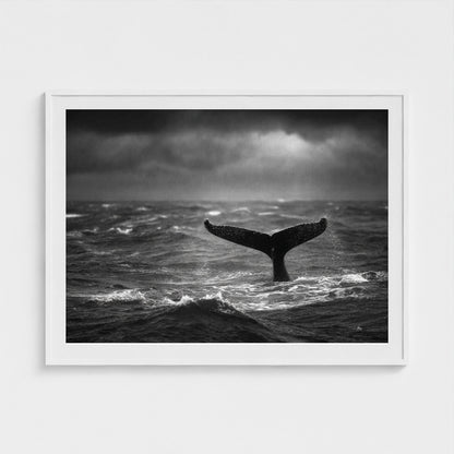tail-fluke-against-stormy-sea-rain-sheets-and-wh 48x36-white frame frame