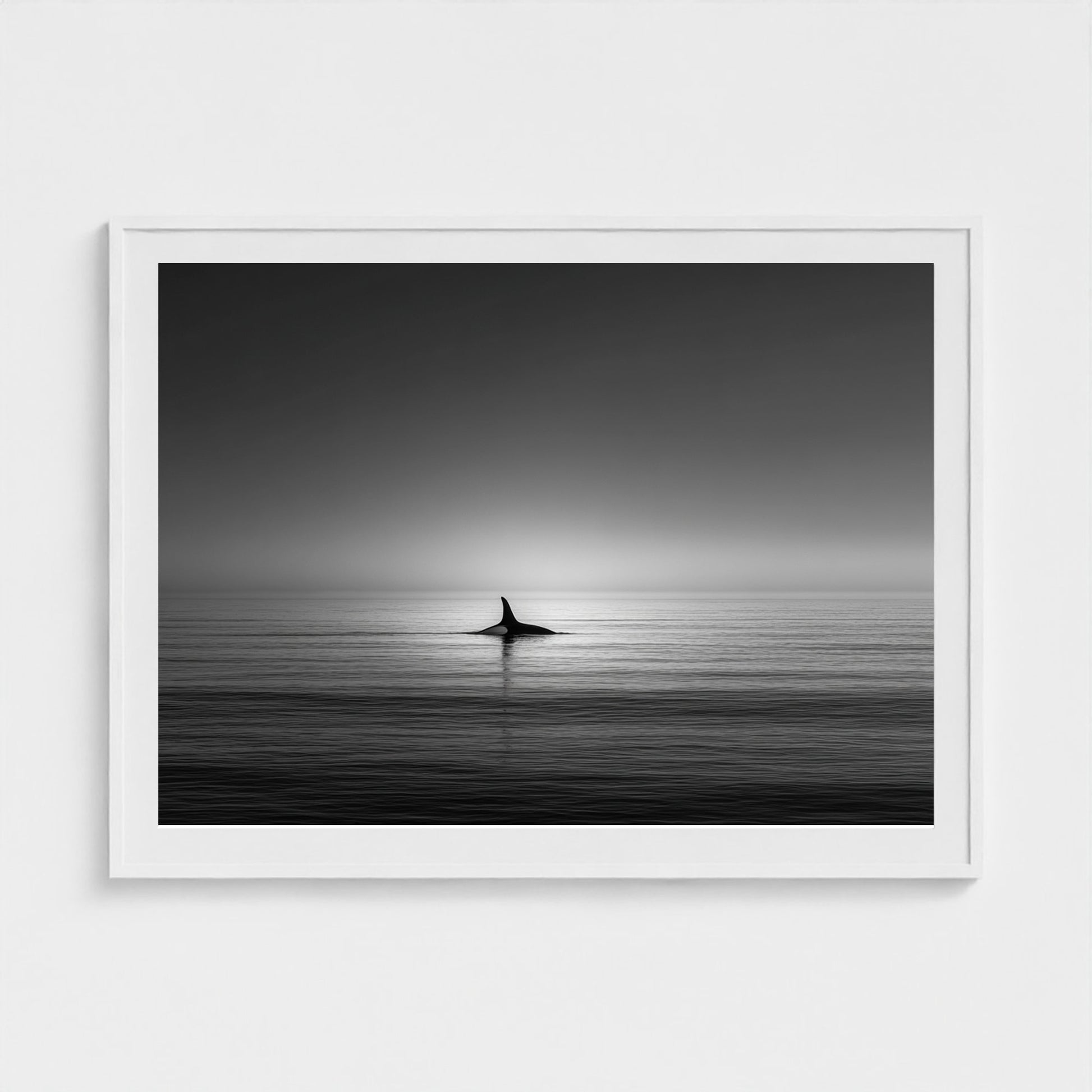 minimalist-negative-space-composition-lone-whale 48x36-white frame frame