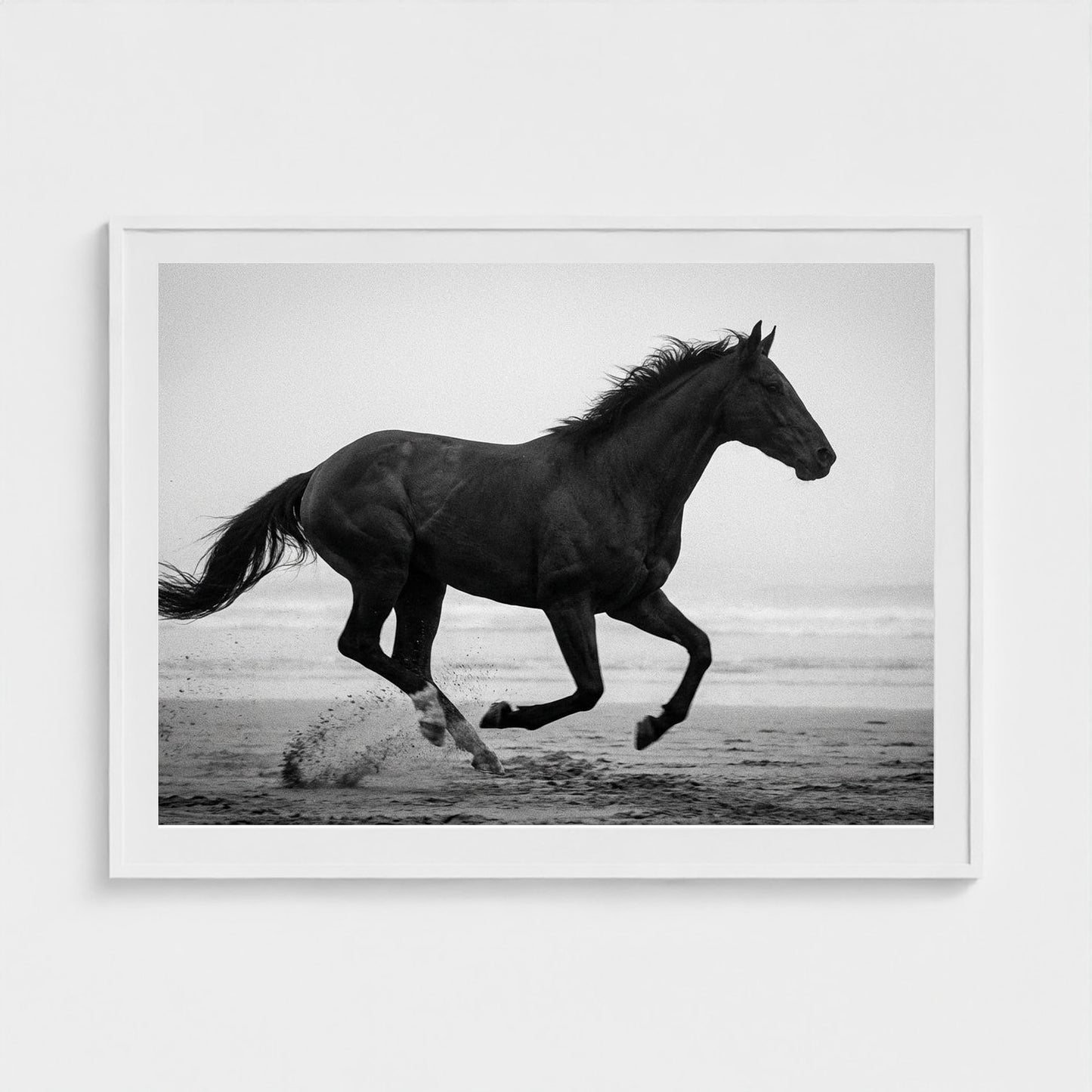 morning-gallop 48x36-white frame frame