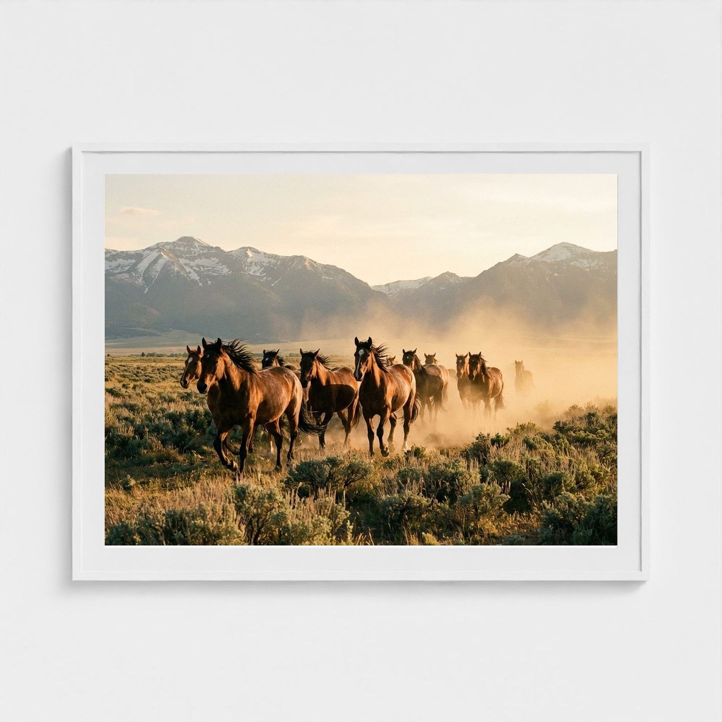 stampede 48x36-white frame frame