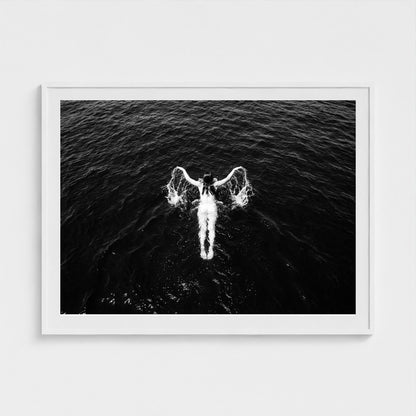bw-open-water 48x36-white frame frame