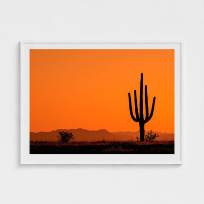 towering-saguaro-cactus-at-sunset-glowing-orange 48x36-white frame frame