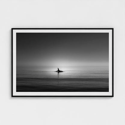 minimalist-negative-space-composition-lone-whale 60x40-black frame frame