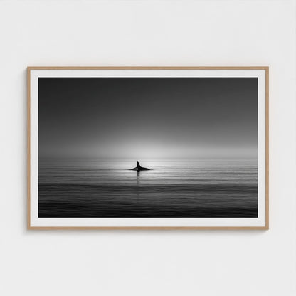minimalist-negative-space-composition-lone-whale 60x40-natural frame frame