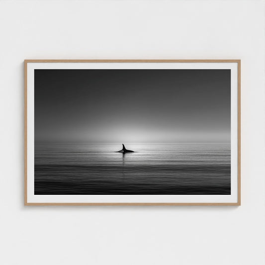 minimalist-negative-space-composition-lone-whale 60x40-natural frame frame