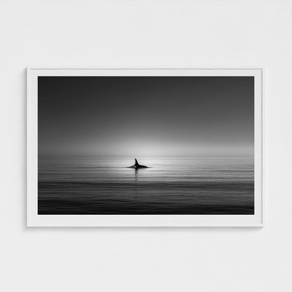 minimalist-negative-space-composition-lone-whale 60x40-white frame frame