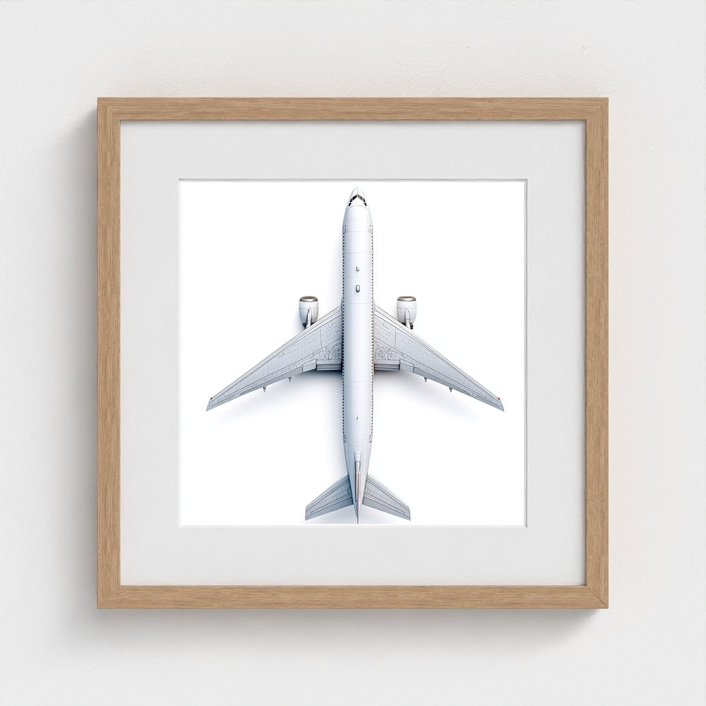 Top-Down Airplane Photograph Print — Minimalist Modern Aviation Wall Art