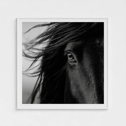 Black and White Horse Photography Print, Minimalist Equine Wall Art, Rustic Ranch Home Decor, Fine Art Animal Portrait Artwork
