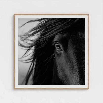 Black and White Horse Photography Print, Minimalist Equine Wall Art, Rustic Ranch Home Decor, Fine Art Animal Portrait Artwork
