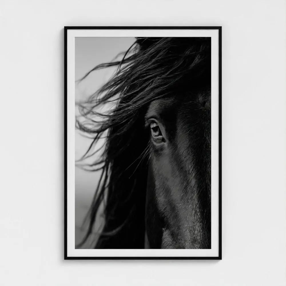 Black and White Horse Photography Print, Minimalist Equine Wall Art, Rustic Ranch Home Decor, Fine Art Animal Portrait Artwork
