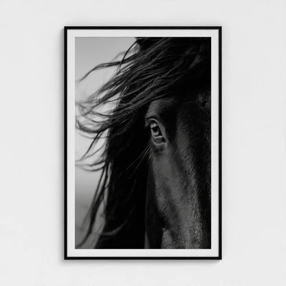 Black and White Horse Photography Print, Minimalist Equine Wall Art, Rustic Ranch Home Decor, Fine Art Animal Portrait Artwork