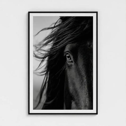 Black and White Horse Photography Print, Minimalist Equine Wall Art, Rustic Ranch Home Decor, Fine Art Animal Portrait Artwork