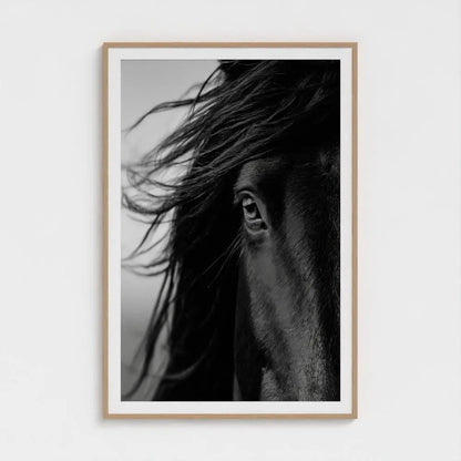 Black and White Horse Photography Print, Minimalist Equine Wall Art, Rustic Ranch Home Decor, Fine Art Animal Portrait Artwork