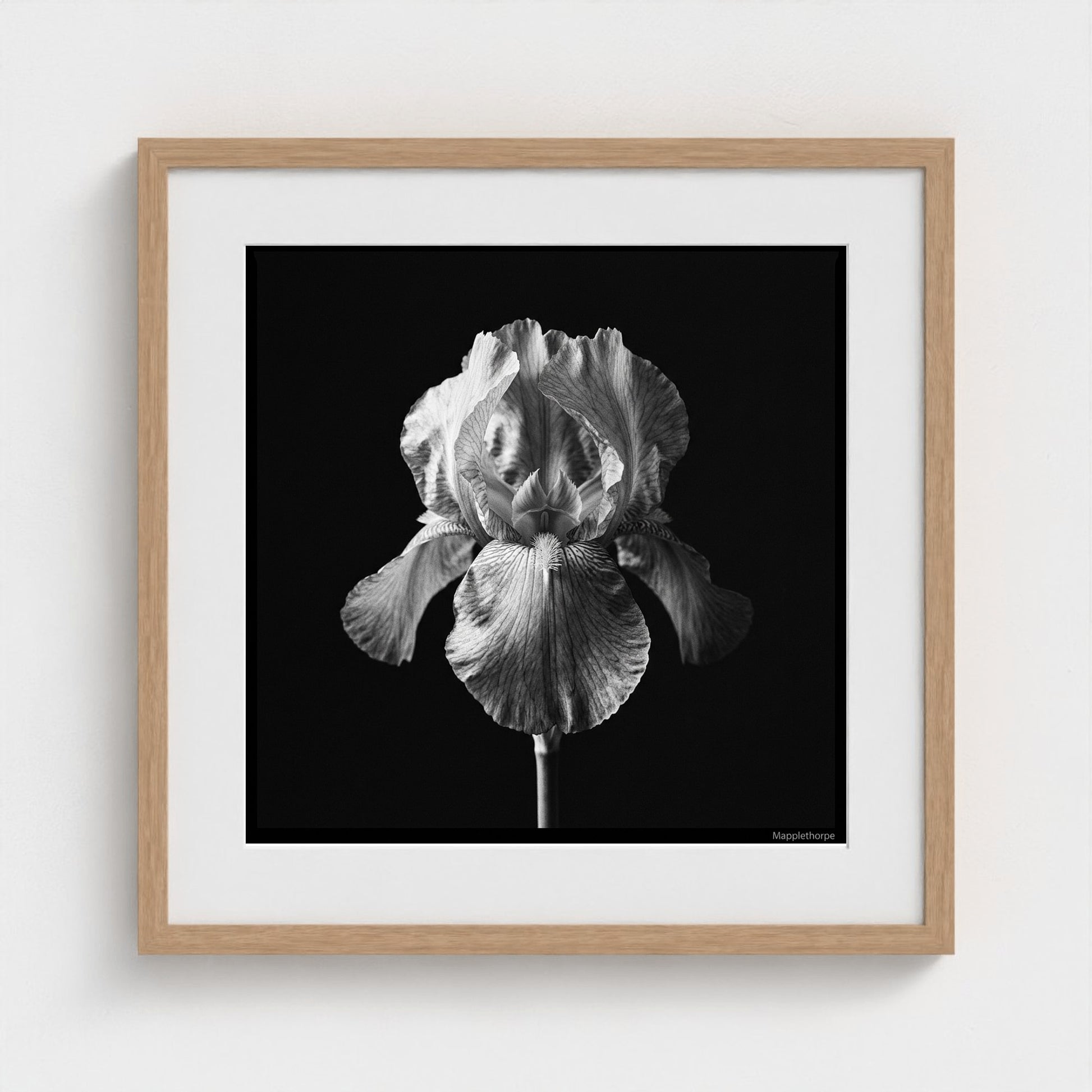 Iris — Sculpted Shadows 20x20 natural frame