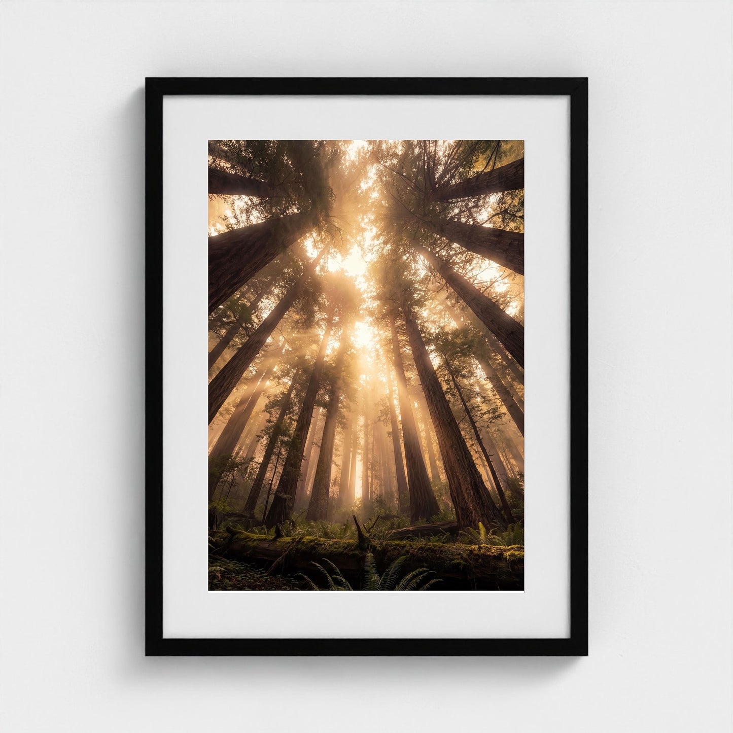 Redwood Cathedral framed print