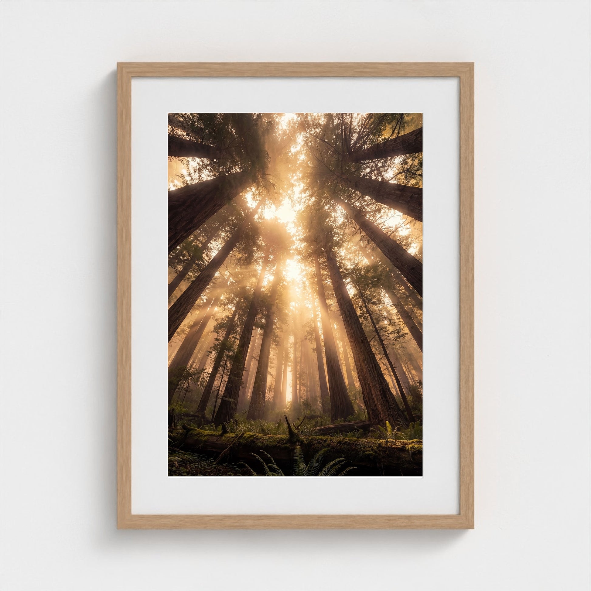 Redwood Cathedral framed print - redwood-cathedral-portrait-18x24-natural