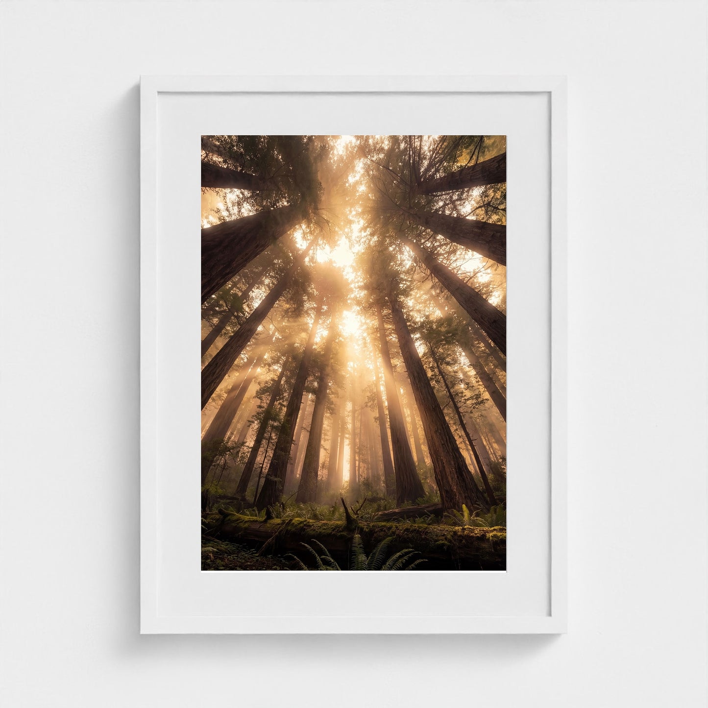 Redwood Cathedral framed print - redwood-cathedral-portrait-18x24-white