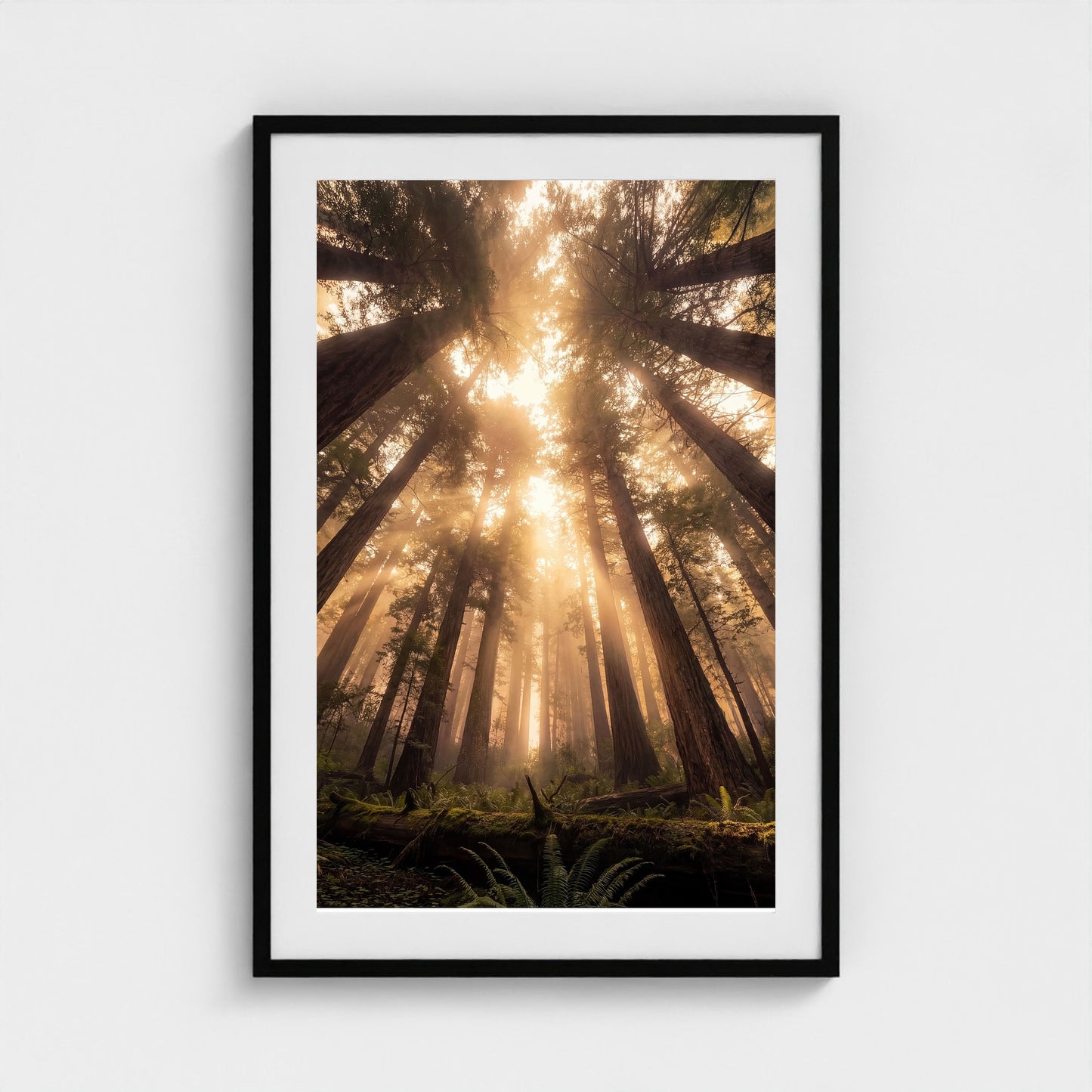 Redwood Cathedral framed print - redwood-cathedral-portrait-24x36-black