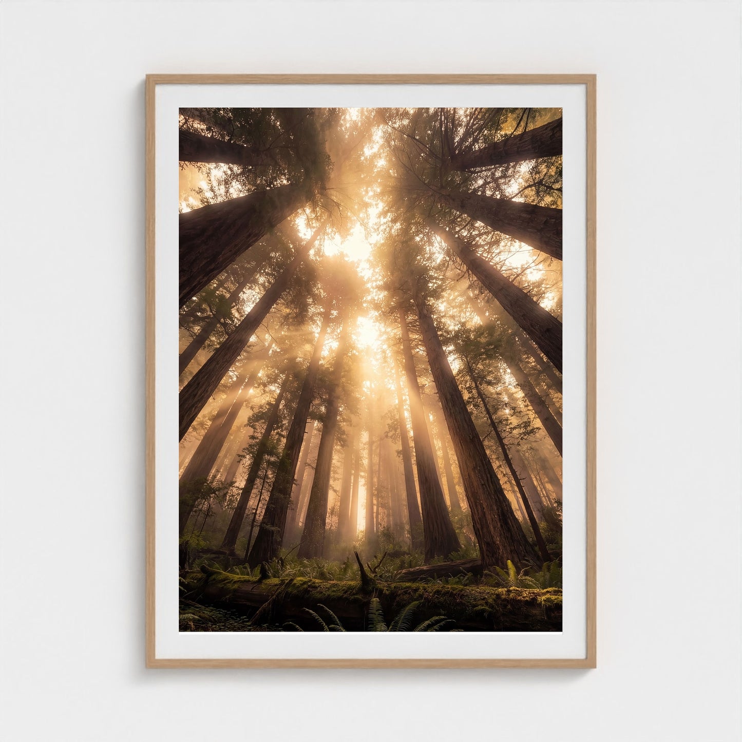 Redwood Cathedral framed print - redwood-cathedral-portrait-36x48-natural