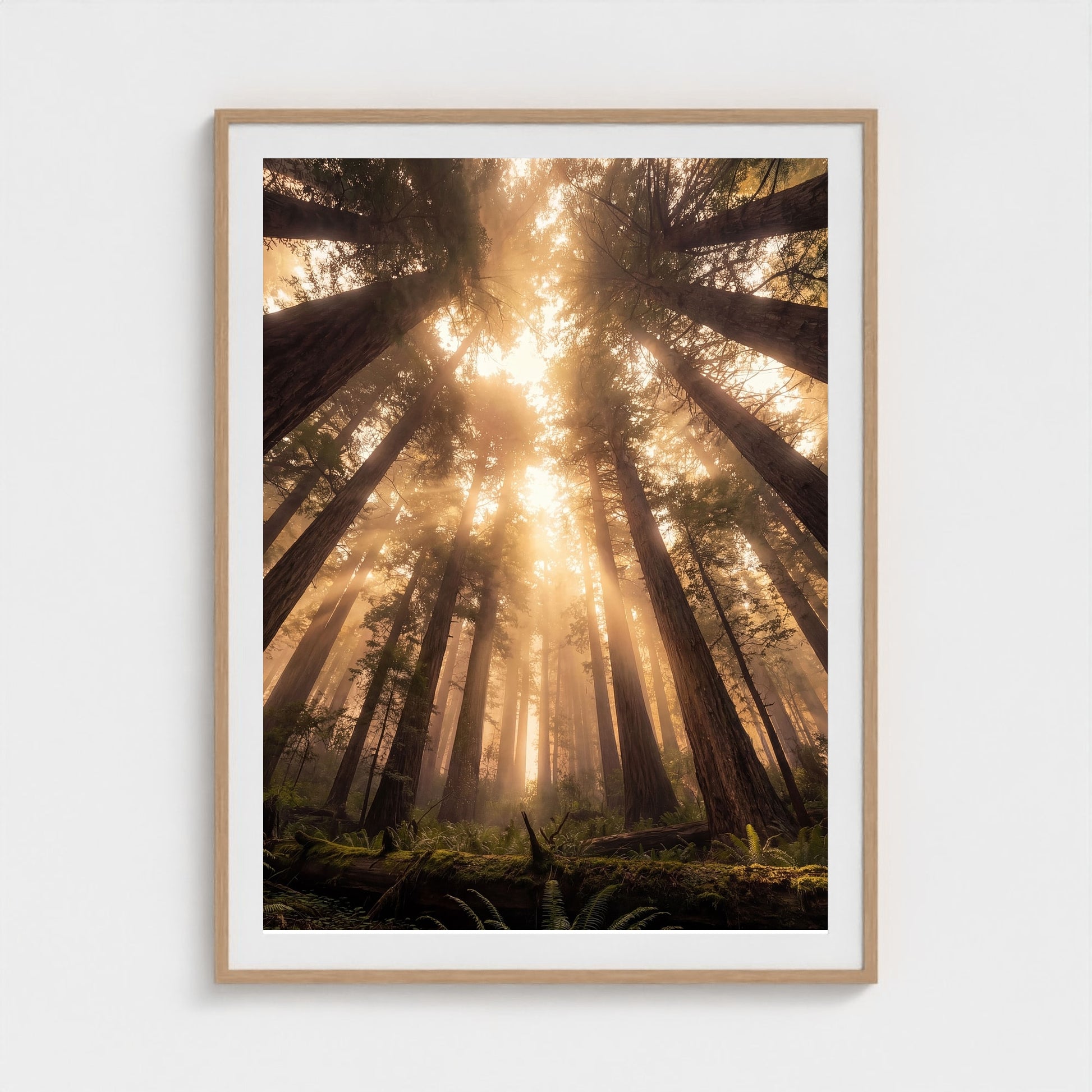 Redwood Cathedral framed print - redwood-cathedral-portrait-36x48-natural