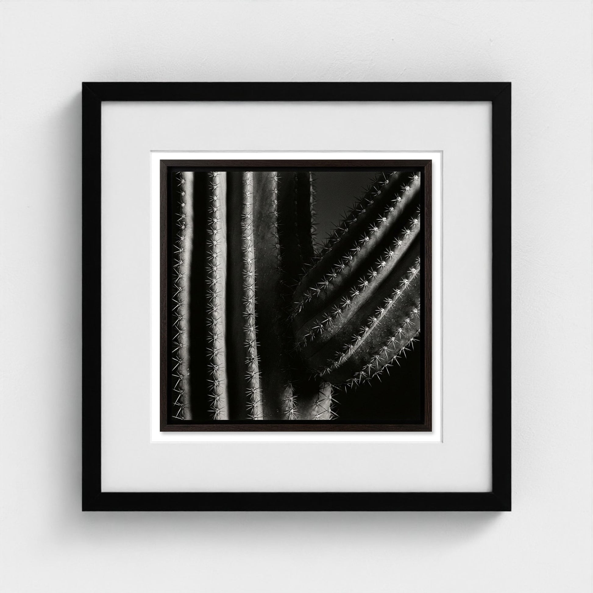 Saguaro — Sculpted Shadows 16x16 black frame