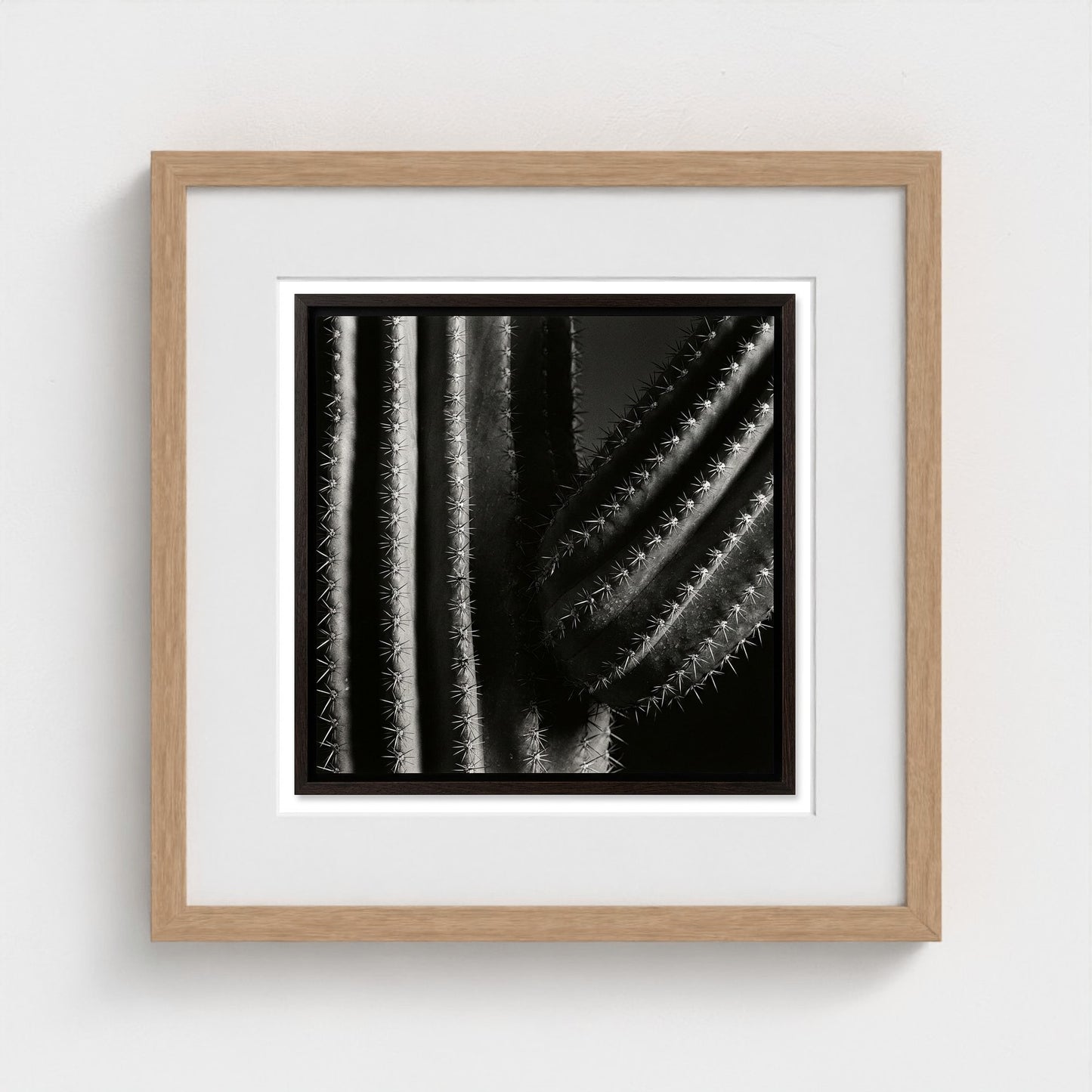 Saguaro — Sculpted Shadows 16x16 natural frame