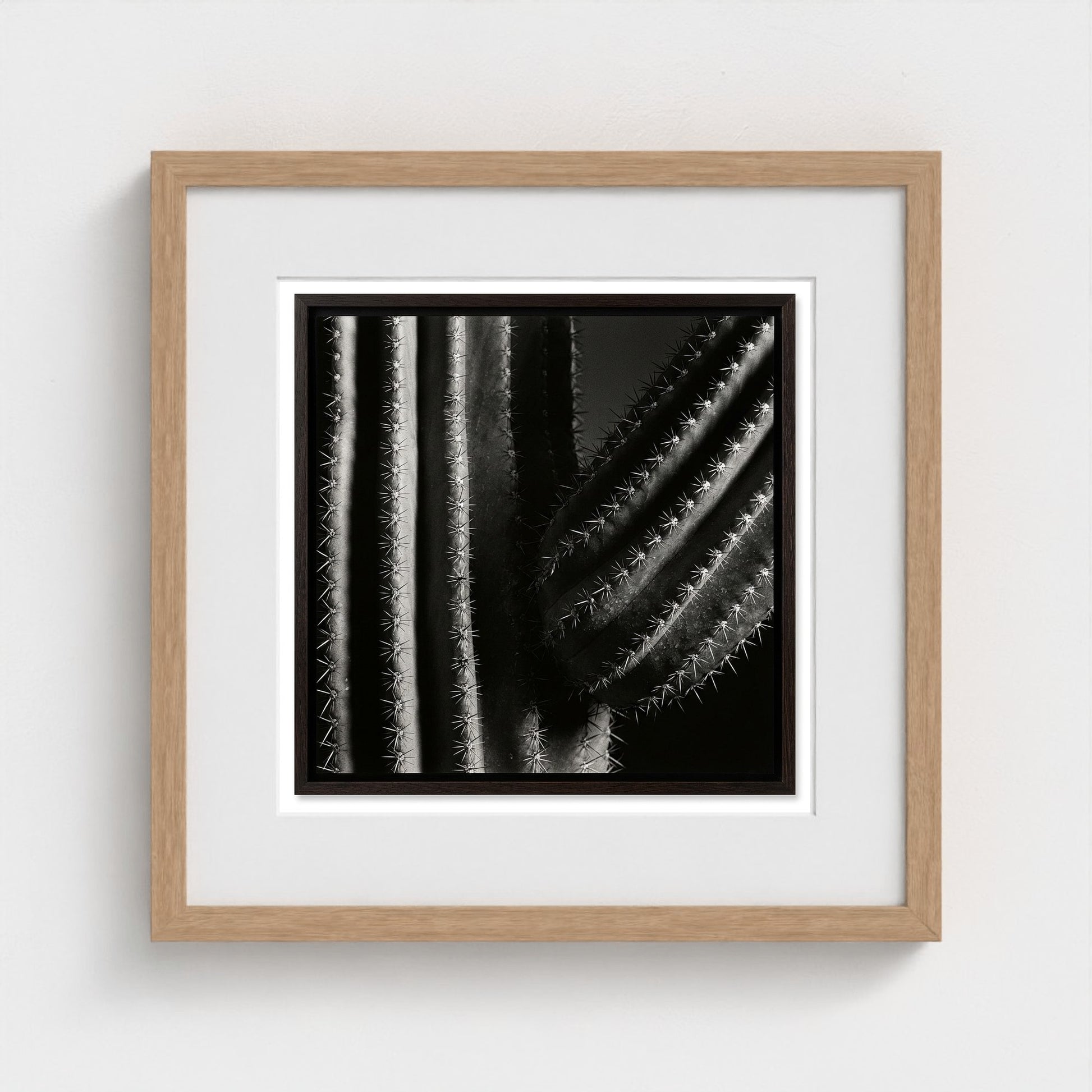 Saguaro — Sculpted Shadows 16x16 natural frame