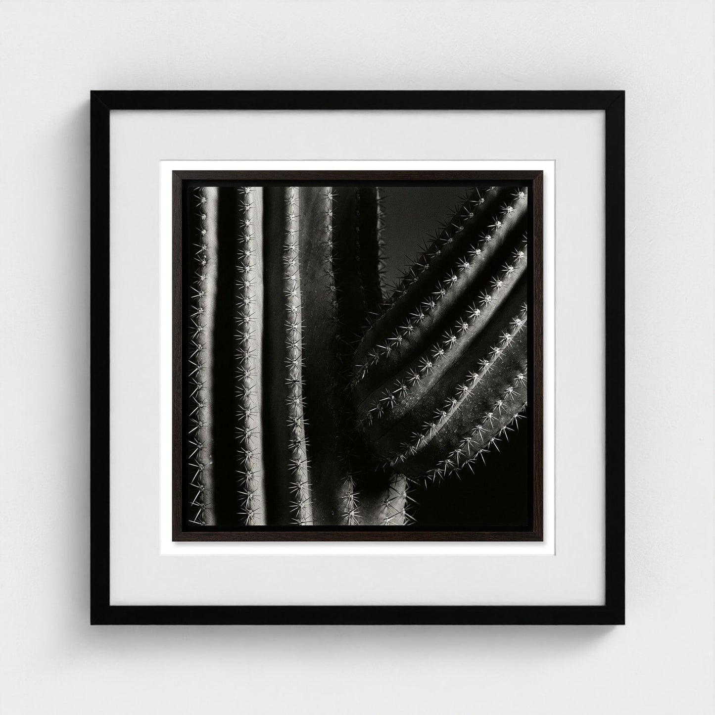 Saguaro — Sculpted Shadows 20x20 black frame