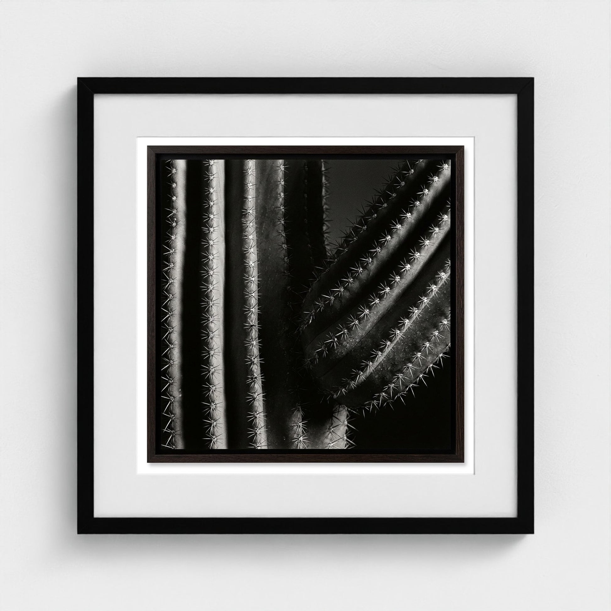 Saguaro — Sculpted Shadows 20x20 black frame