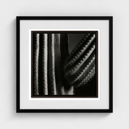 Saguaro — Sculpted Shadows 20x20 black frame
