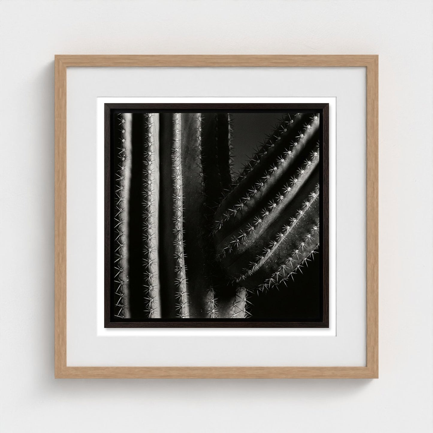 Saguaro — Sculpted Shadows 20x20 natural frame
