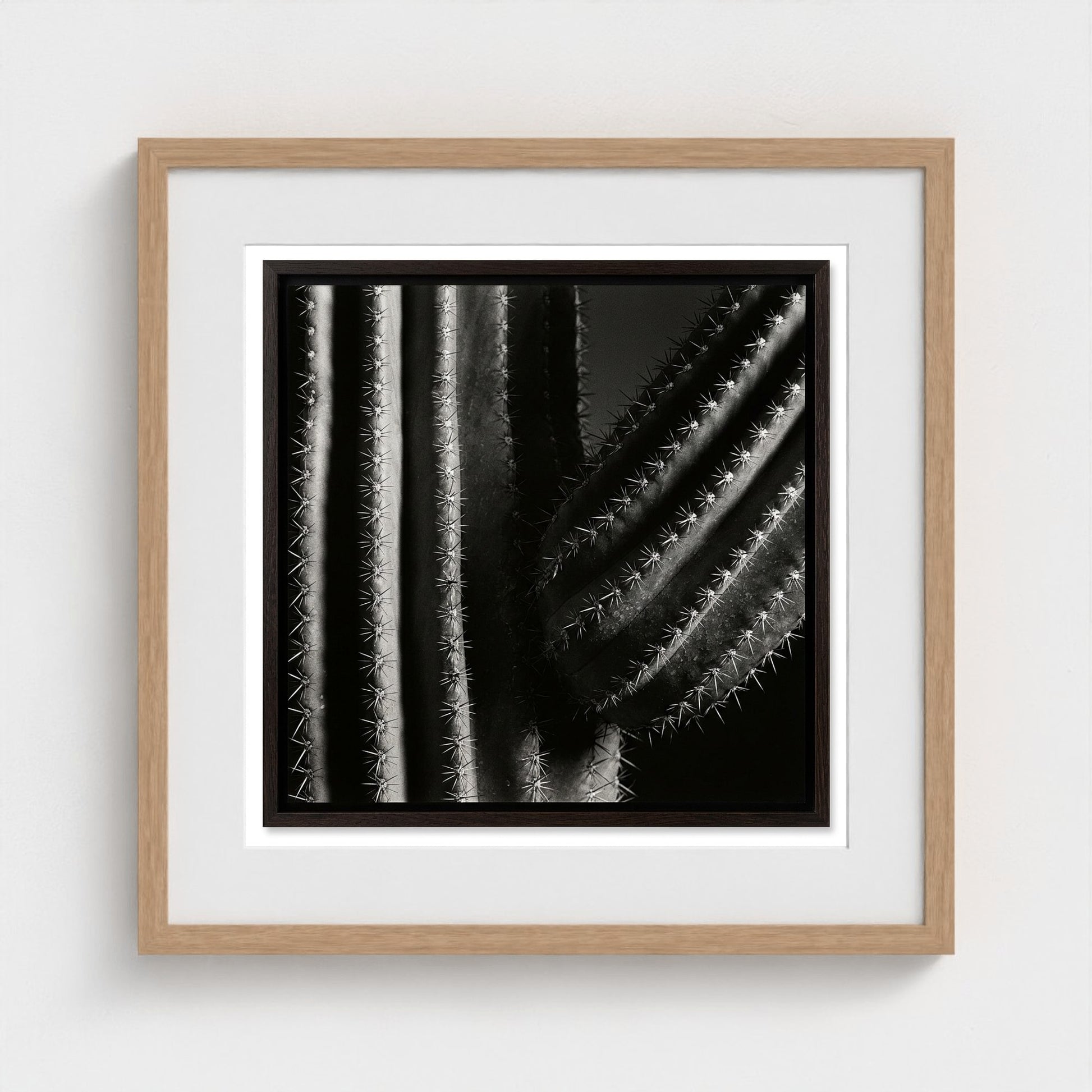 Saguaro — Sculpted Shadows 20x20 natural frame