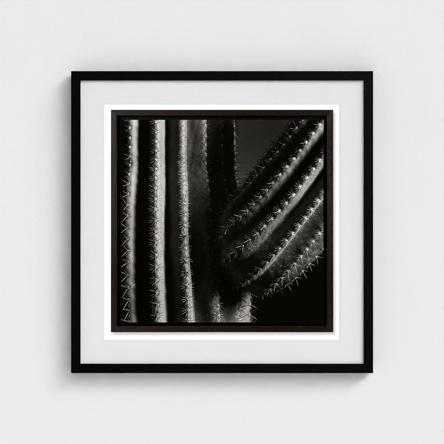 Saguaro — Sculpted Shadows 24x24 black frame