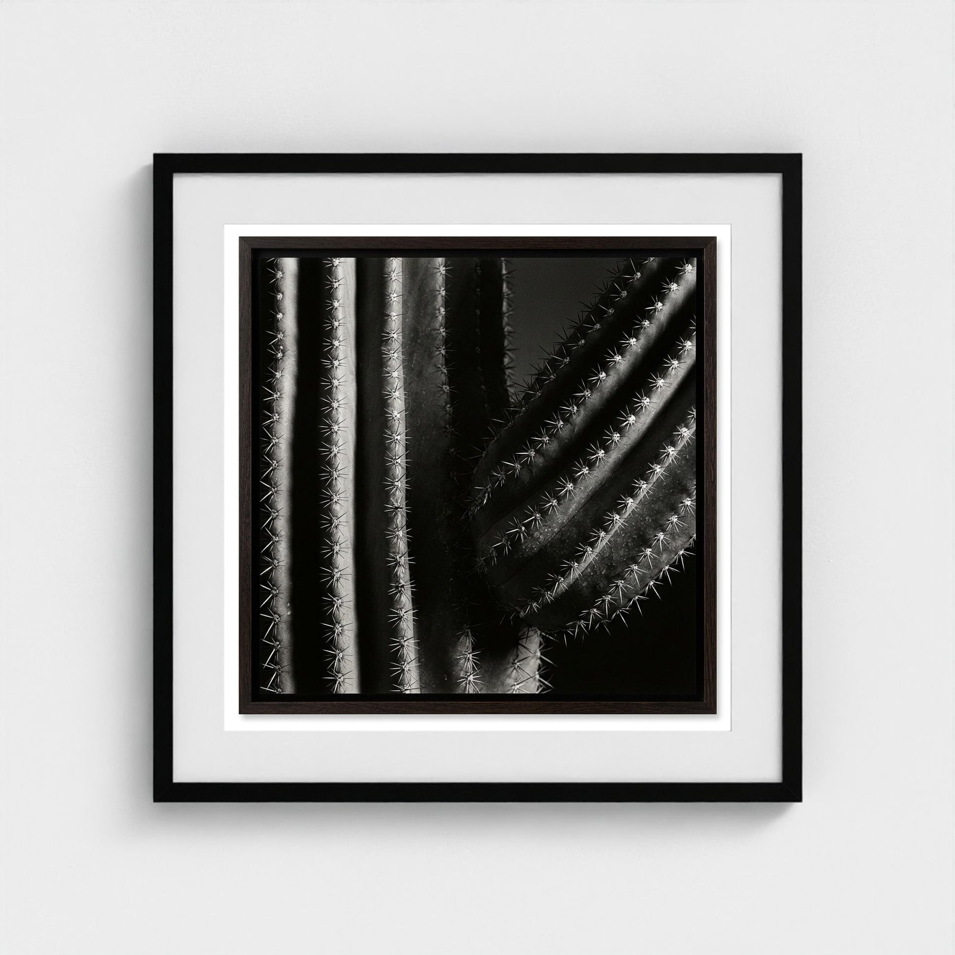 Saguaro — Sculpted Shadows 24x24 black frame