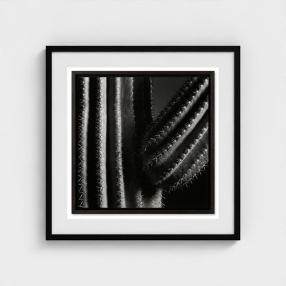 Saguaro — Sculpted Shadows 24x24 black frame