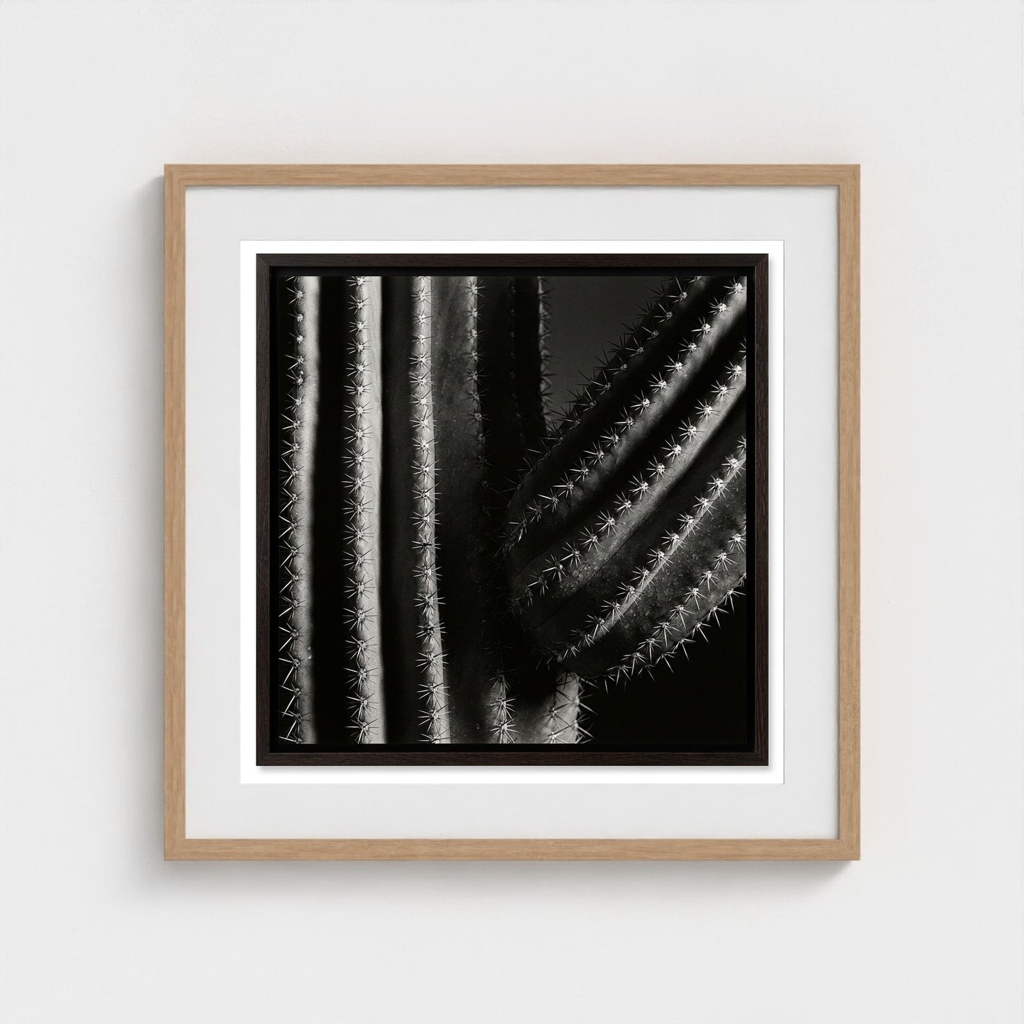 Saguaro — Sculpted Shadows 24x24 natural frame