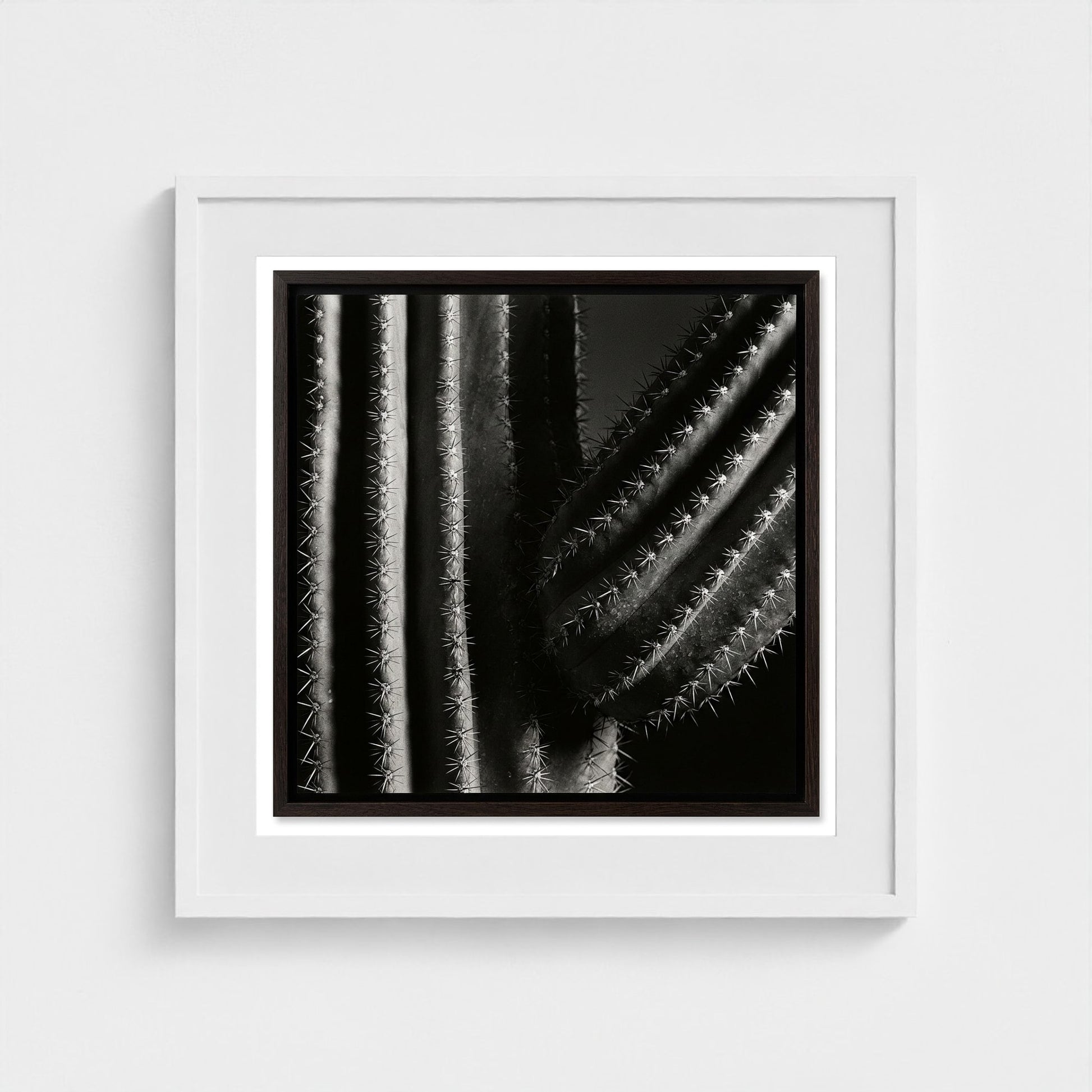 Saguaro — Sculpted Shadows 24x24 white frame