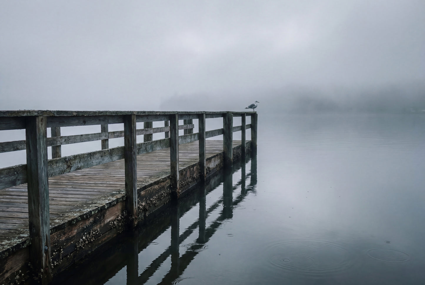 Raw unframed artwork — Coastal Pier Wall Art — Fog Photography Print — source 13238355722543