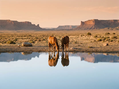 Raw unframed artwork — Still Waters — Landscape Fine Art Photography | Studio Stevie — source 13344126533935