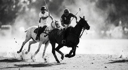 Raw unframed artwork — Polo — Landscape Fine Art Photography | Studio Stevie — source 13344309936431