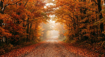 Raw unframed artwork — Autumn Road — Landscape Photography | Studio Stevie — source 13344375767343