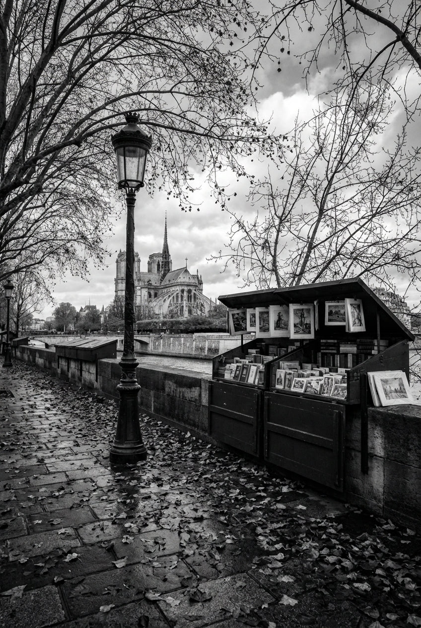 Raw unframed artwork — Bw Autumn Paris — Fine Art Portrait Photography | Studio Stevie — source 13355268604207