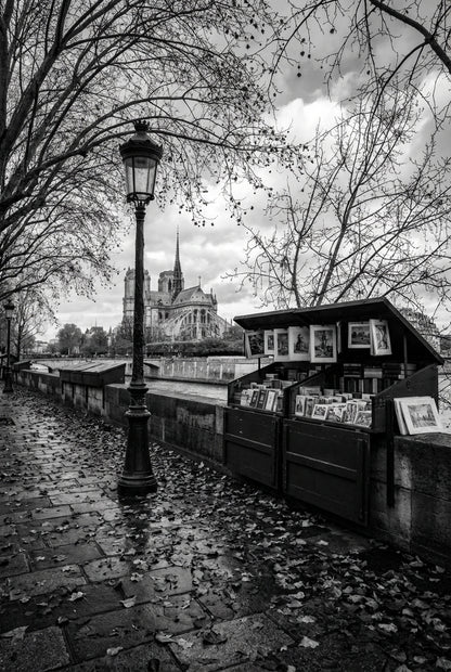 Raw unframed artwork — Bw Autumn Paris — Fine Art Portrait Photography | Studio Stevie — source 13355268604207