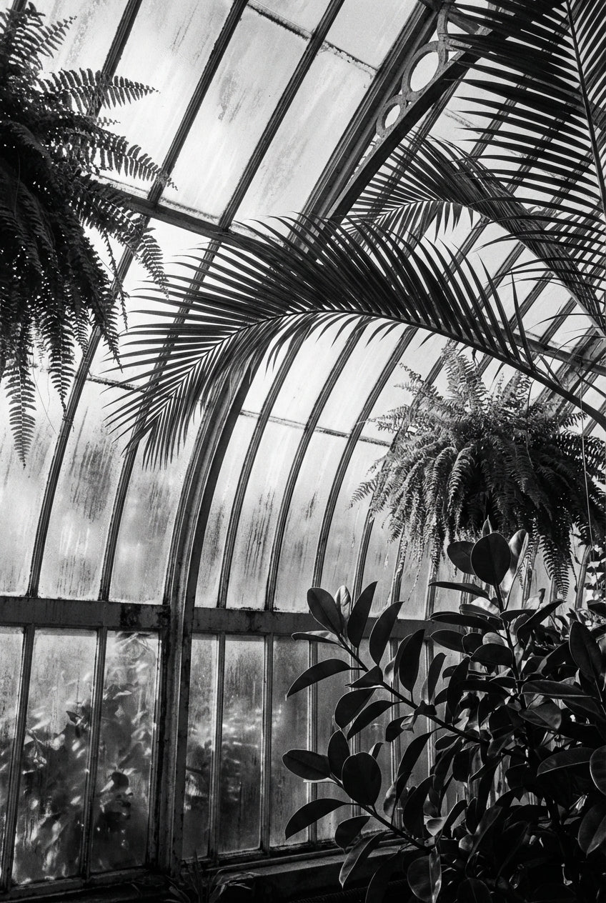 Raw unframed artwork — Greenhouse — Botanical Portrait Photography | Studio Stevie — source 13355843027247