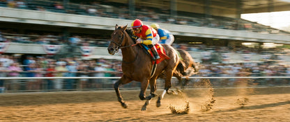 Raw unframed artwork — Thoroughbred Sprint — Landscape Fine Art Photography | Studio Stevie — source 13355979931951