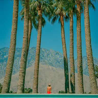 Raw unframed artwork — Red at the Palms — Palm Springs source 05 — UHD f9368f7efc