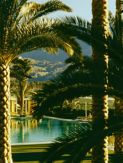 Raw unframed artwork — Palm Shadow — Palm Springs source 08 — UHD eb4b42e41b
